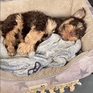 Meet your Posher, Danelle